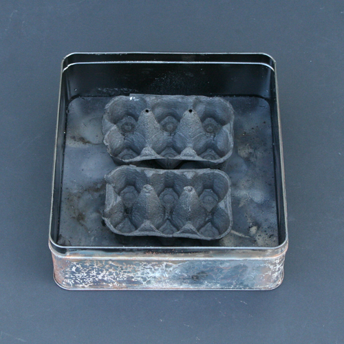 Carbonized eggboxes